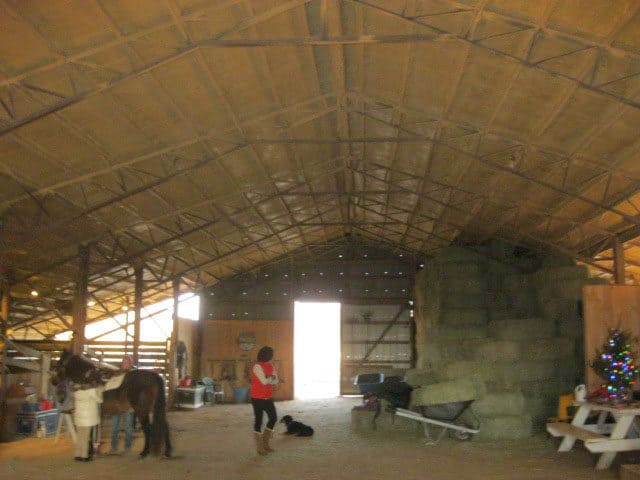 equineseal3