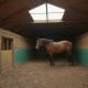 Bio-insulation in Horse Farms - Benefits, Features, and Biobased Material Examples